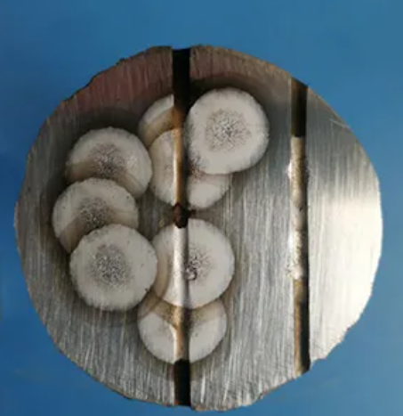 1636383257773597.png 1636383251(1).png